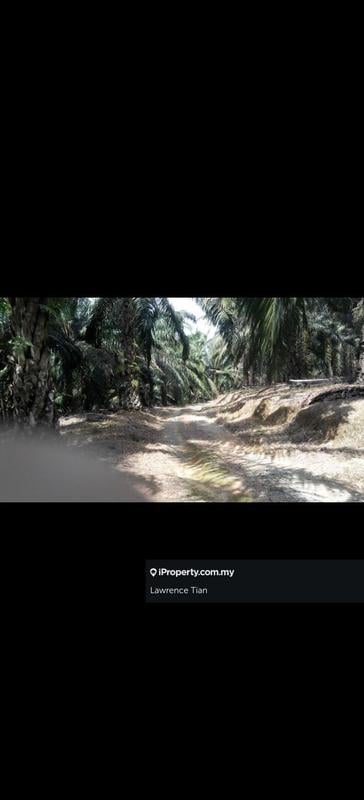 Tanah Pertanian untuk Dijual di Jalan Gajah Mati, Bukit Mertajam oleh Lawrence Tian - iProperty.com.my