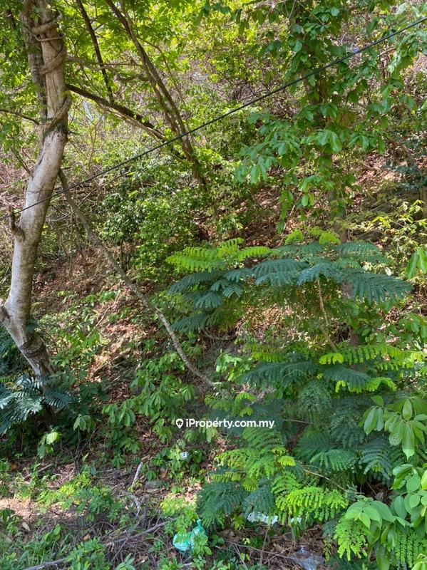 Tanah Kediaman untuk Dijual di twrls, Kuah oleh Intan Faridah - iProperty.com.my