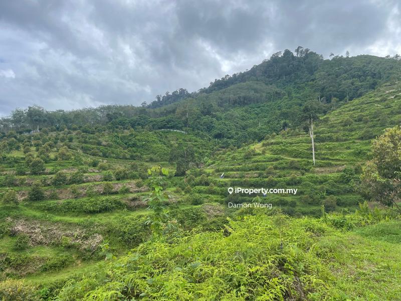 Tanah Pertanian untuk Dijual di Telemong, Bentong oleh Damon Wong - iProperty.com.my