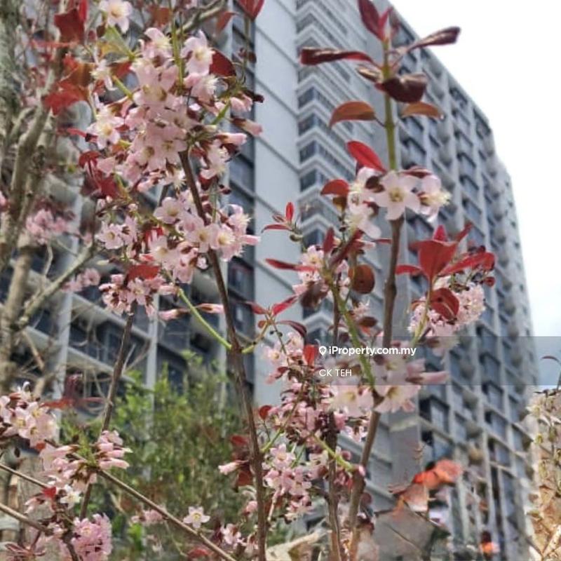 Residensi Servis untuk Dijual di Cove Residence oleh CK Teh - Exterior - iProperty.com.my