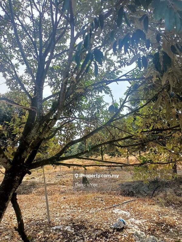 For Sale - Jalan Bekoh Tangkak