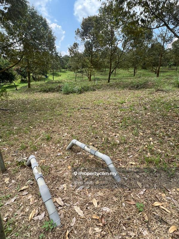 Tanah Pertanian untuk Dijual di Senai, Johor oleh Alvin Seah - iProperty.com.my