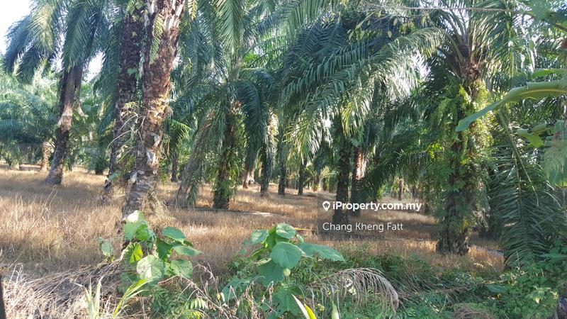 Tanah Perindustrian untuk Dijual di Kampung Teluk Mengkuang, Telok Panglima Garang oleh Chang Kheng Fatt - iProperty.com.my