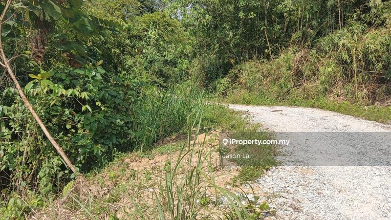Agricultural Land for Sale in Bukit Robinson, Ijok by Jason Lai - iProperty.com.my