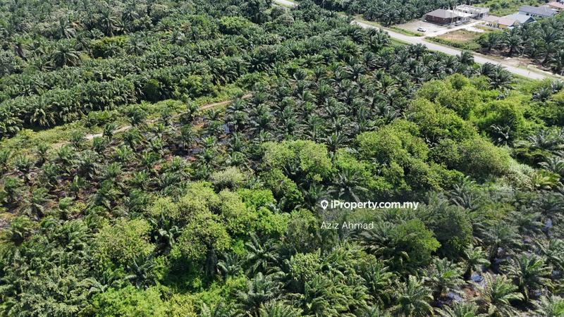 Agricultural Land for Sale in Kampung Jenjarom, Jenjarom by Aziz Ahmad - iProperty.com.my