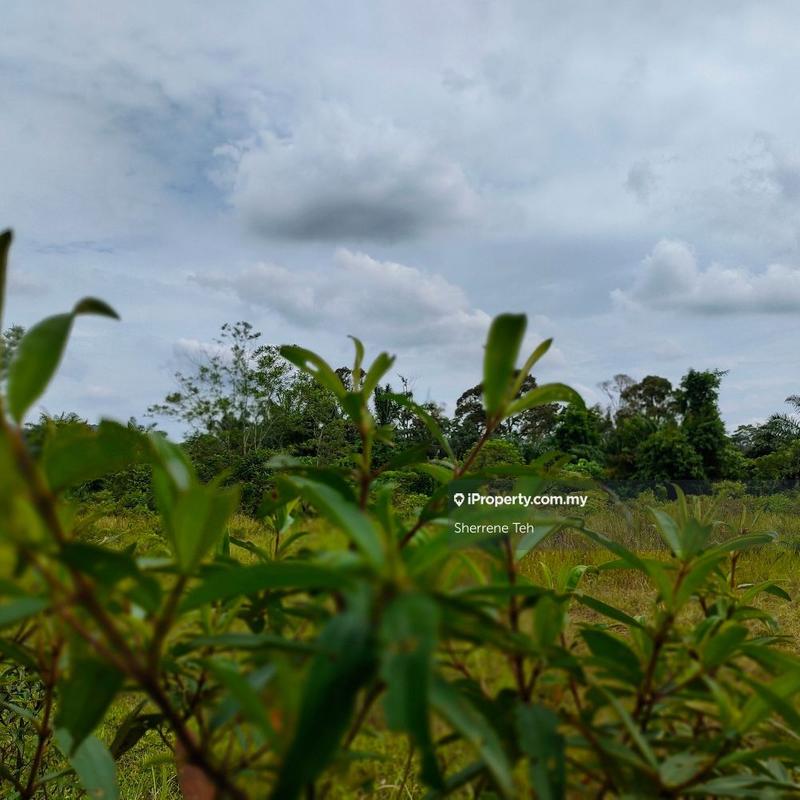 For Sale - 1/ 1.6/ 2 acre FH Agri land zone Industrial