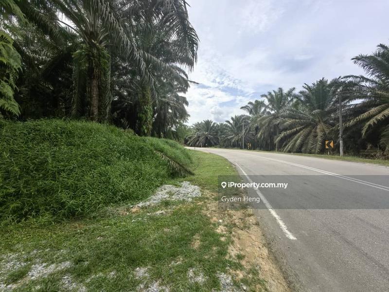 Agricultural Land for Sale in Kota Tinggi, Johor by Gyden Heng - iProperty.com.my