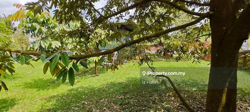 Agricultural Land for Sale in Batang Kali, Selangor by Iz Hakim - iProperty.com.my