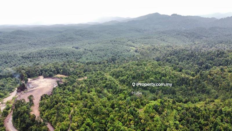 Agricultural Land for Sale in Kuala Rompin, Pahang by Huda - iProperty.com.my