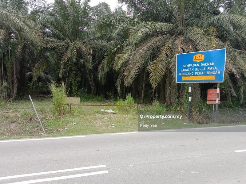 For Sale - Agriculture Land in Bukit Teh - Tasek for Sale