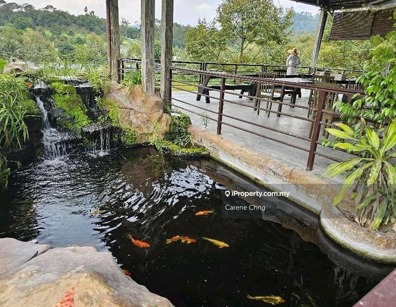Agricultural Land for Sale in Hulu Langat, Selangor by Carene Chng - iProperty.com.my