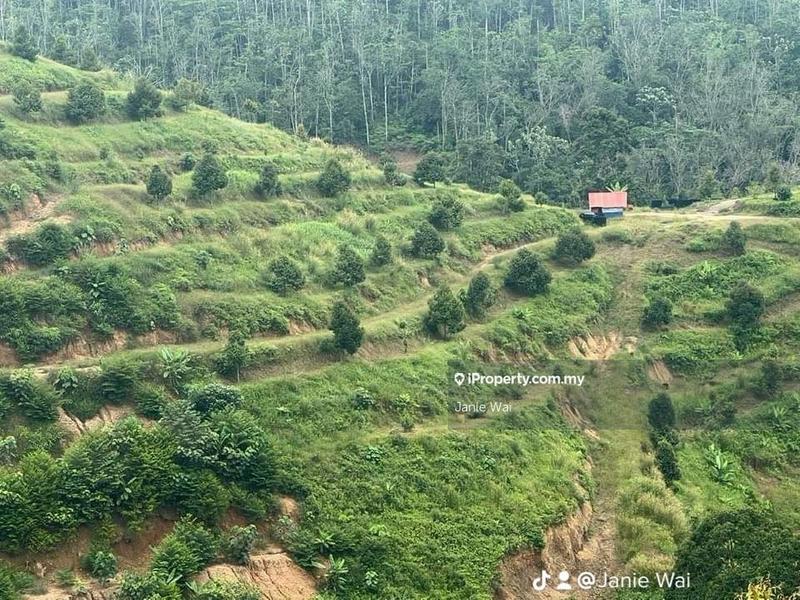 Agricultural Land for Sale in Taman Jelebu, Kuala Klawang by Janie Wai - iProperty.com.my