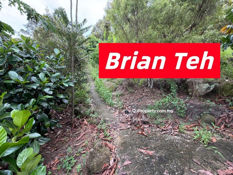 For Sale - Hill Land Durian Farm Agricultural Land Sale at Teluk Kumbar with Road Access