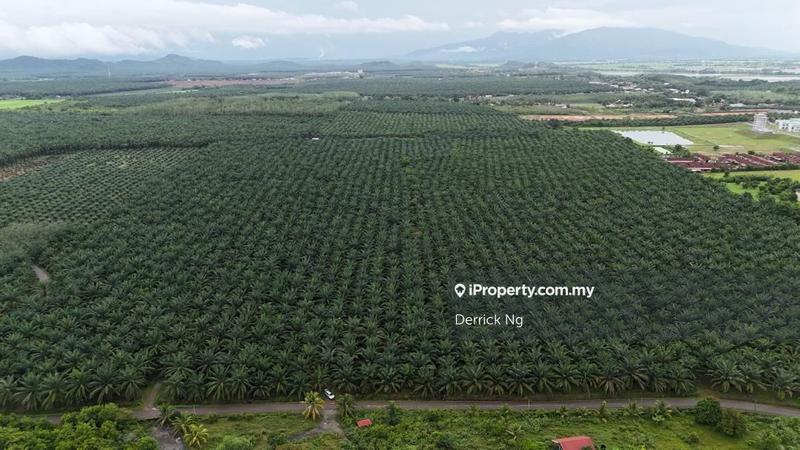 Agricultural Land for Sale in Taman Melor, Pendang by Derrick Ng - iProperty.com.my
