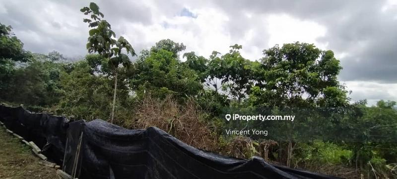 Agricultural Land for Sale in Kota Jaya, Kota Tinggi, Kota Tinggi by Vincent Yong - iProperty.com.my