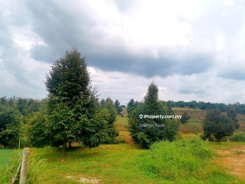 Agricultural Land for Sale in Slim River, Perak by Sherlyn Yeoh - iProperty.com.my