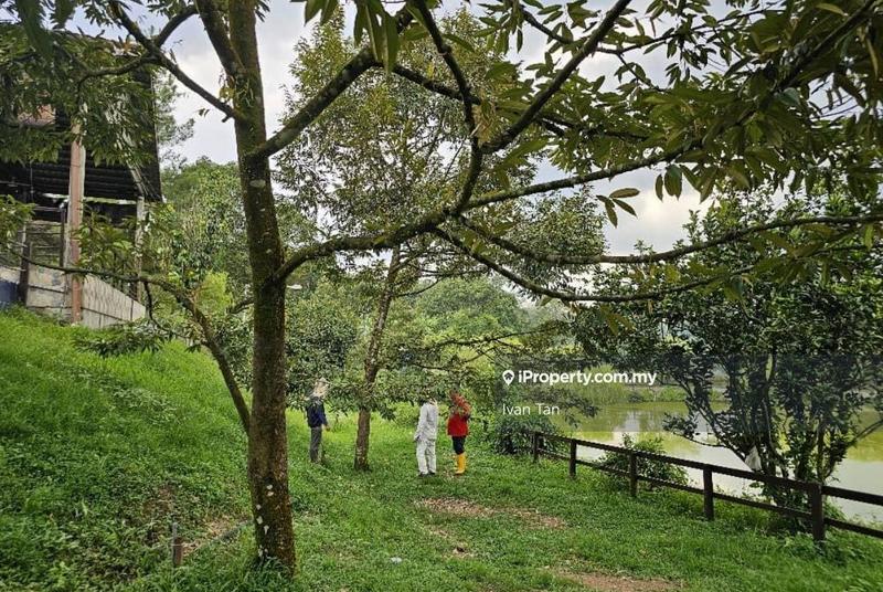 Tanah Pertanian untuk Dijual di Kampung Sungai Makau, Hulu Langat oleh Ivan Tan - iProperty.com.my