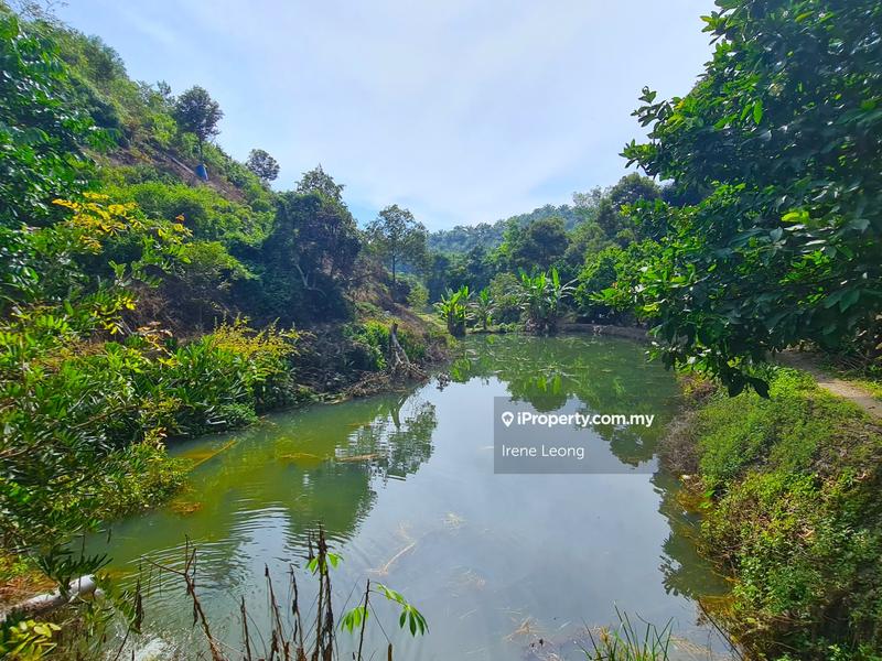 Agricultural Land for Sale in Bentong, Pahang by Irene Leong - iProperty.com.my