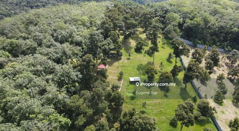 Agricultural Land for Sale in Bukit Tinggi, Bentong by Eugene Yap - iProperty.com.my