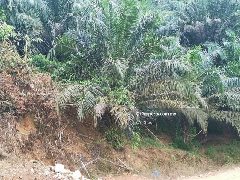 Tanah Pertanian untuk Dijual di Kelantan Gua Musang Ulu Nenggiri, Gua Musang oleh CY Khoo - iProperty.com.my