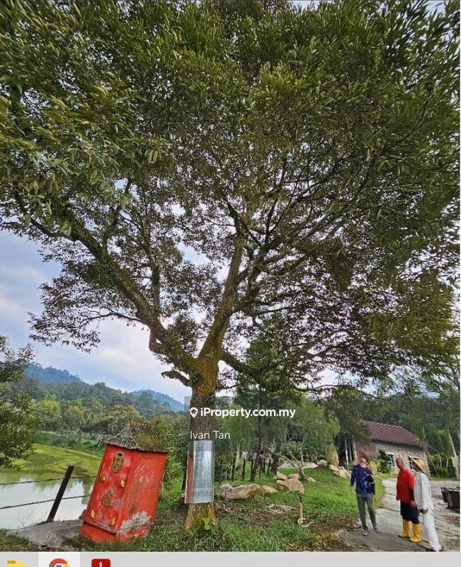 Tanah Pertanian untuk Dijual di Kampung Sungai Makau, Hulu Langat oleh Ivan Tan - iProperty.com.my