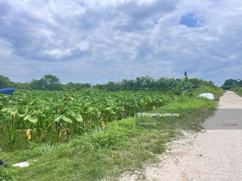 Agricultural Land for Sale in Johan setia, Klang by James Ng - iProperty.com.my