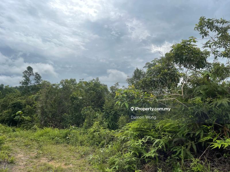 Agricultural Land for Sale in Batang Kali, Rasa by Damon Wong - iProperty.com.my