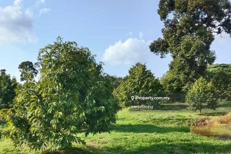 Agricultural Land for Sale in Karak, Pahang by Irene Leong - Exterior - iProperty.com.my