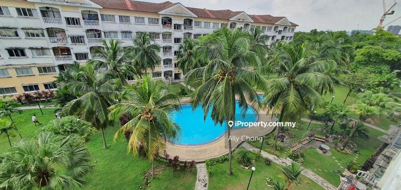 For Sale - Sri Cassia