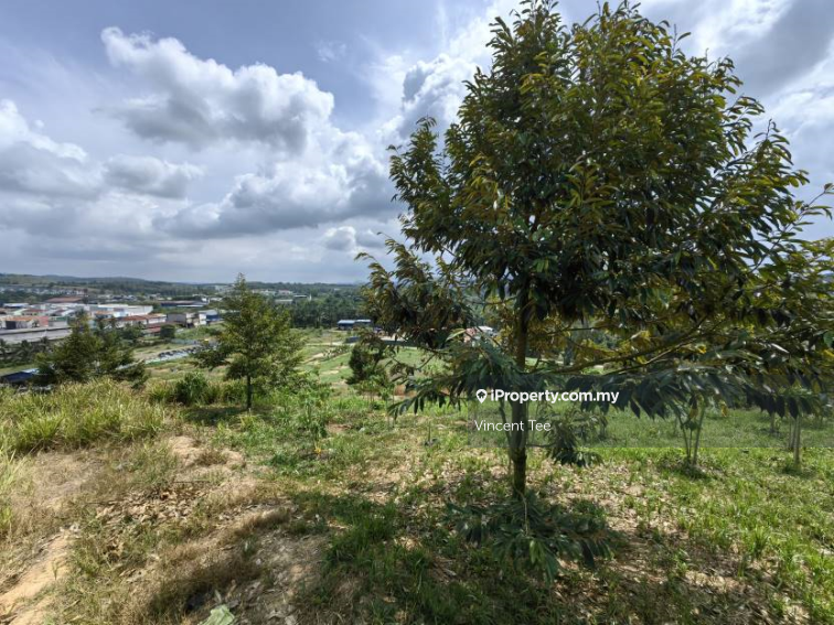 Tanah Pertanian untuk Dijual di Bandar Raub Perdana, Raub oleh Vincent Tee - iProperty.com.my