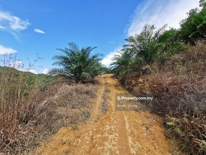 Agricultural Land for Sale in Genting Highlands, Bentong by Bryan Wong - iProperty.com.my