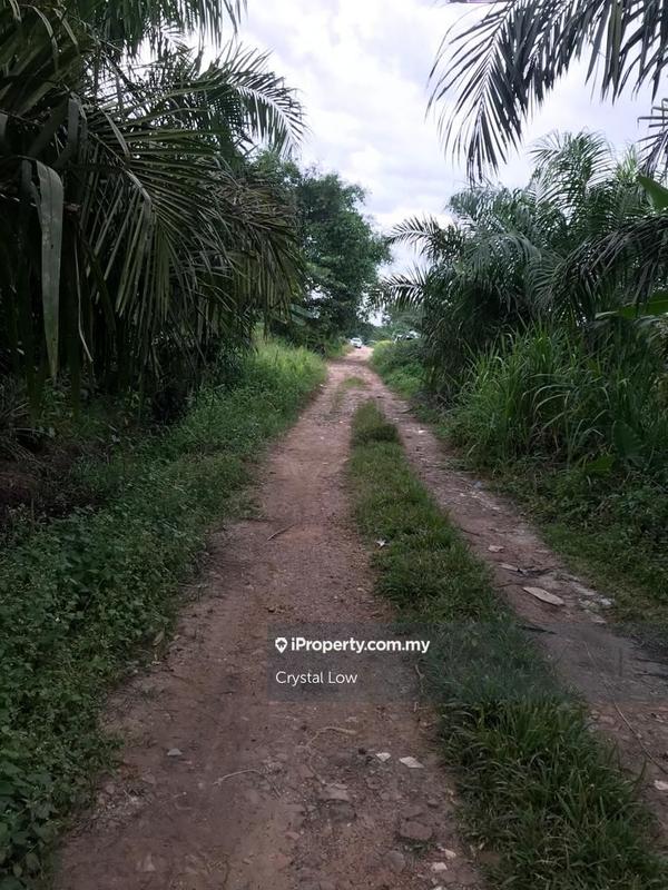 Agricultural Land for Sale in Bandar Baru Salak Tinggi, Salak Tinggi, Sepang by Crystal Low - iProperty.com.my