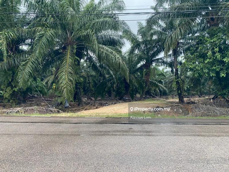 Agricultural Land for Sale in Kampung Batu Puteh Mukim 4, Batu Pahat by Alexius Lim - iProperty.com.my