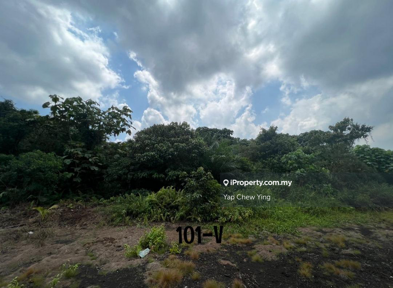 For Sale - CHEAP VALUE BUY‼️Kampung Perepat, Kapar Batu 8 Klang Agriculture Land