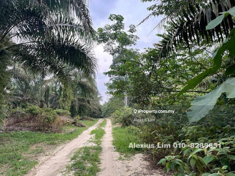 For Sale - 2.5 Acres land @ housing Zone, Ulu Tiram