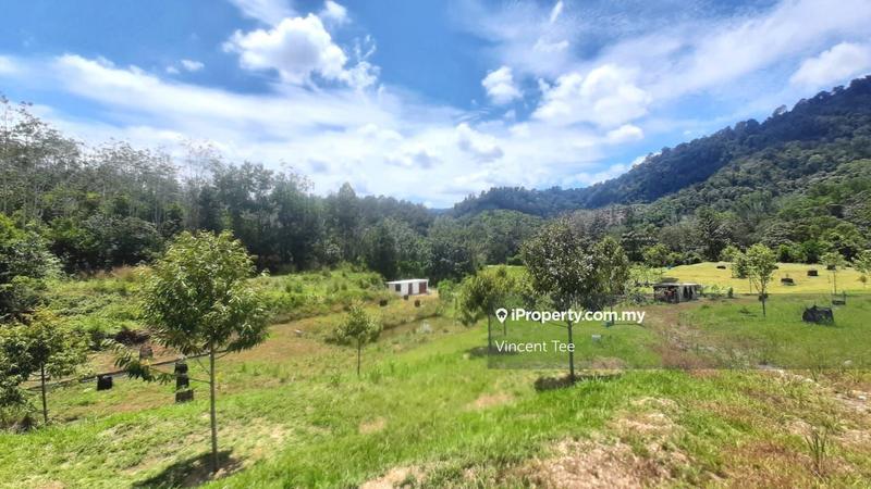 Tanah Pertanian untuk Dijual di Kampung Renal, Kuala Klawang oleh Vincent Tee - iProperty.com.my