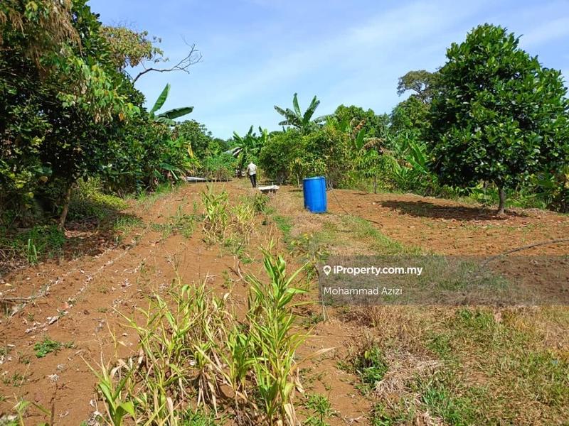 Agricultural Land for Sale in Balok, Sungai Karang by Mohammad Azizi - iProperty.com.my