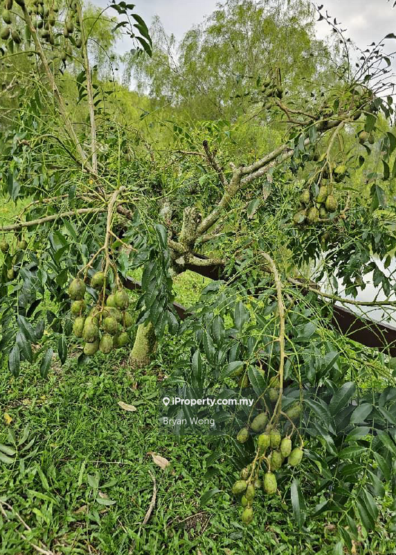 Tanah Pertanian untuk Dijual di Kampung Sungai Makau, Hulu Langat oleh Bryan Wong - iProperty.com.my