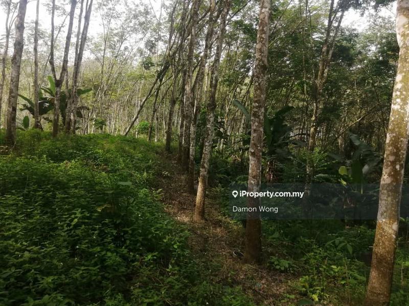 Tanah Pertanian untuk Dijual di Sungai Ruan Raub, Raub oleh Damon Wong - iProperty.com.my