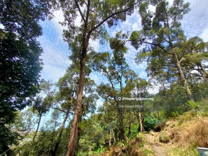 Tanah Pertanian untuk Dijual di Teluk Kumbar, Penang oleh Ooi Swee Khim - iProperty.com.my