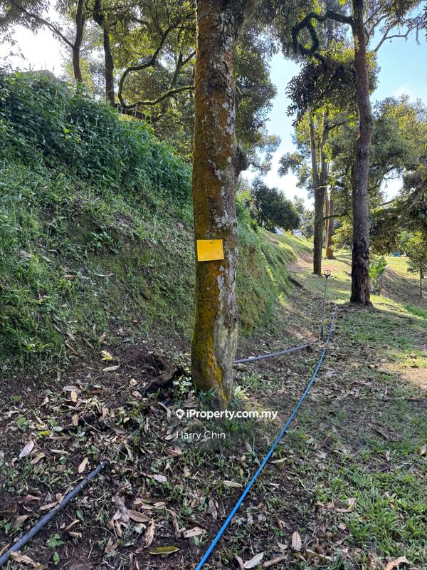 Agricultural Land for Sale in Karak, Bentong by Harry Chin - iProperty.com.my