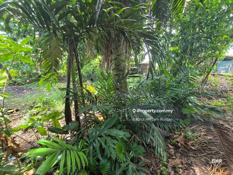 Tanah Pertanian untuk Dijual di Kampung Tengah, Puchong oleh Badrul Hisyam Roslan - iProperty.com.my