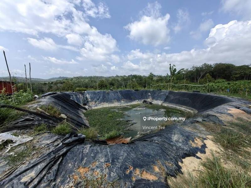 Tanah Pertanian untuk Dijual di Bandar Raub Perdana, Raub oleh Vincent Tee - iProperty.com.my