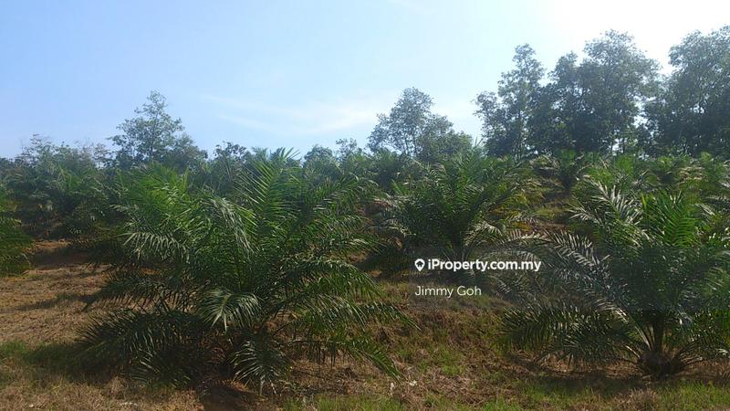 Tanah Pertanian untuk Dijual di Kerling, Kerling oleh Jimmy Goh - iProperty.com.my