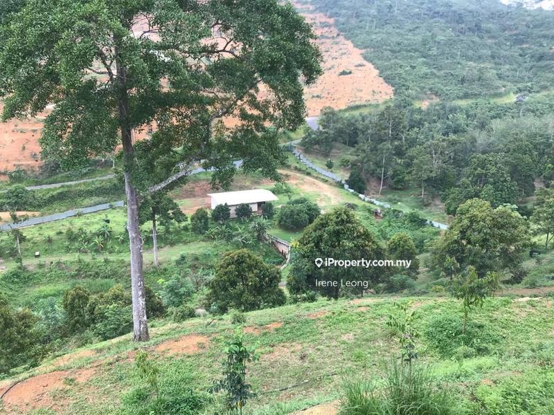 Agricultural Land for Sale in Karak, Pahang by Irene Leong - iProperty.com.my