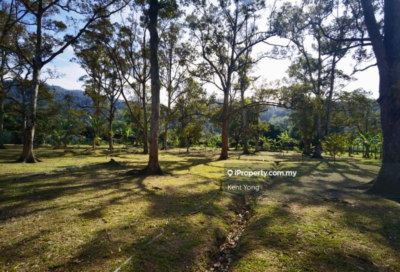 Tanah Pertanian untuk Dijual di Lenggeng, Negeri Sembilan oleh Kent Yong - iProperty.com.my