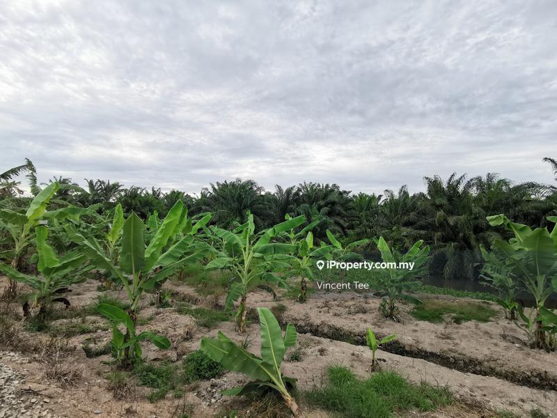 For Sale - 16Acres Agriculture Land Next to Malaka Strait Sea Kelicap Batu Pahat