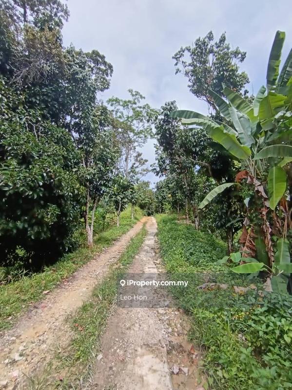 Agricultural Land for Sale in MANTIN, Seremban by Leo Hon - iProperty.com.my