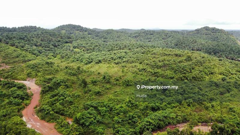 Agricultural Land for Sale in Kuala Rompin, Pahang by Huda - iProperty.com.my
