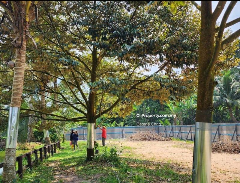 Agricultural Land for Sale in Hulu Langat, Selangor by Carene Chng - iProperty.com.my